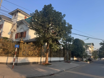 Dự án xây dựng hạ tầng kỹ thuật Khu dân cư Việt Mỹ, Phường Đồng Quang, Thành Phố Thái Nguyên